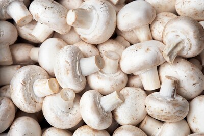 Minderjarige Bulgaarse plukte champignons, OM eist acht maanden cel tegen eigenaar uitzendbureau