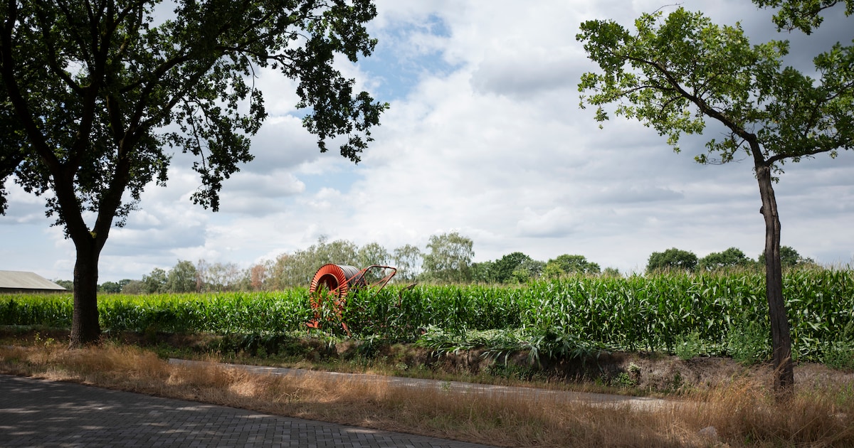 Nieuwe wijk Lierop Buiten krijgt groen licht, maar zorgen over wateroverlast blijven | Foto