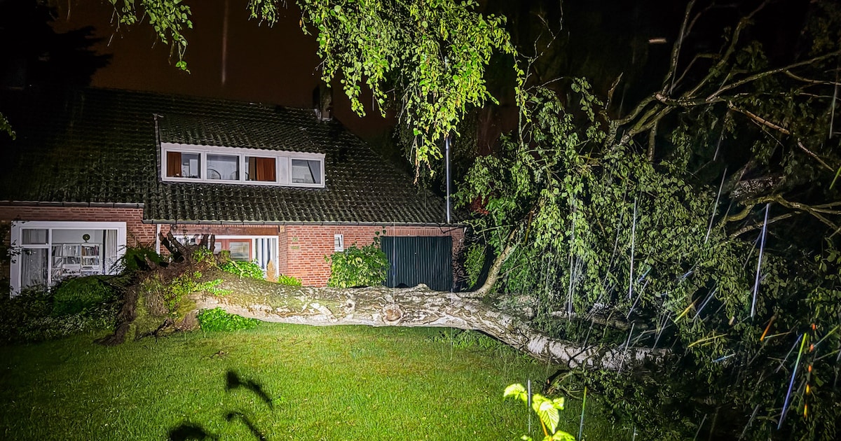Hevige nachtelijke storm zorgt voor omgevallen bomen en ondergelopen straten in Nuenen
