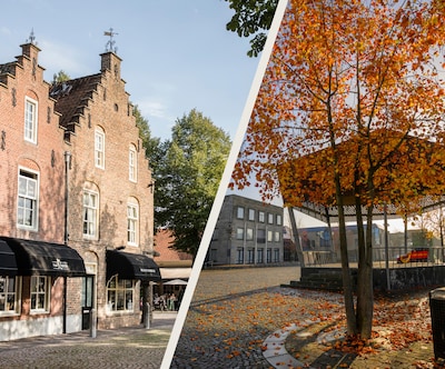 Best en Oirschot schakelen twee bureaus in voor begeleiding richting fusie