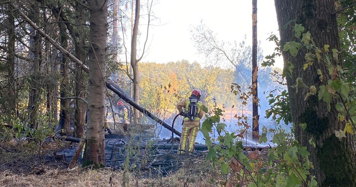 Brand bij schuur slaat over naar natuur er omheen in Riethoven