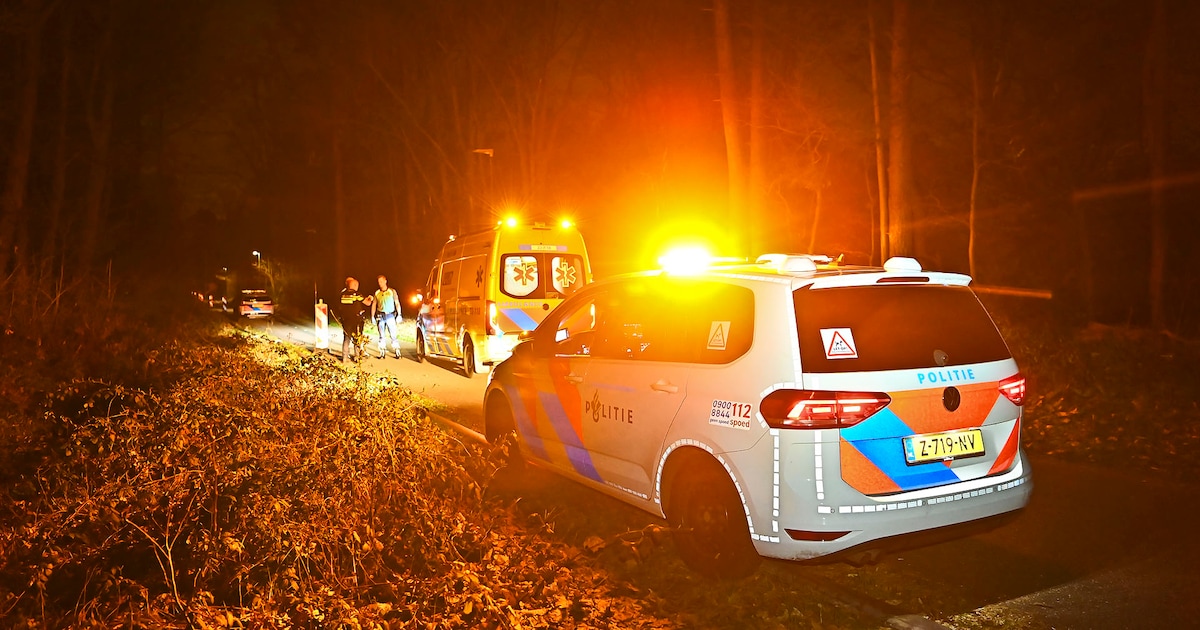 Man (46) uit Eindhoven verdacht van mishandeling raakt gewond nadat politiehond hem opspoort in boss