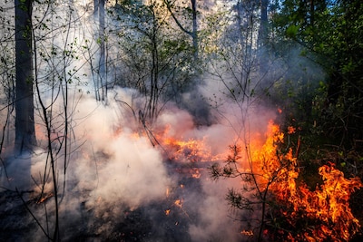 Natuurbrand Oirschotse Heide onder controle, 65 hectare verbrand