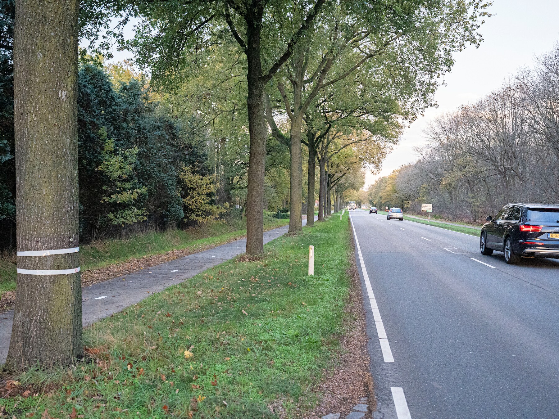 Akkoord over aanplant bomen in Deurne