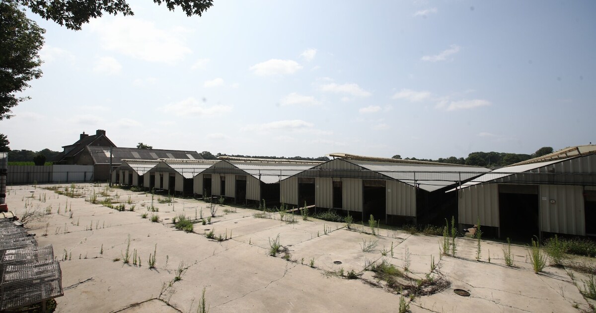Plan voor woningen 240 arbeidsmigranten op plek nertsenfarm in Vlierden