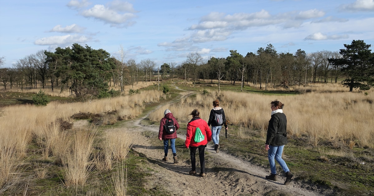 Uitbreiding park Groote Peel met natuur in Deurne en Gemert-Bakel