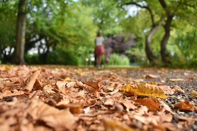 Zon of regen? Dit is de weersverwachting voor oktober in Tilburg
