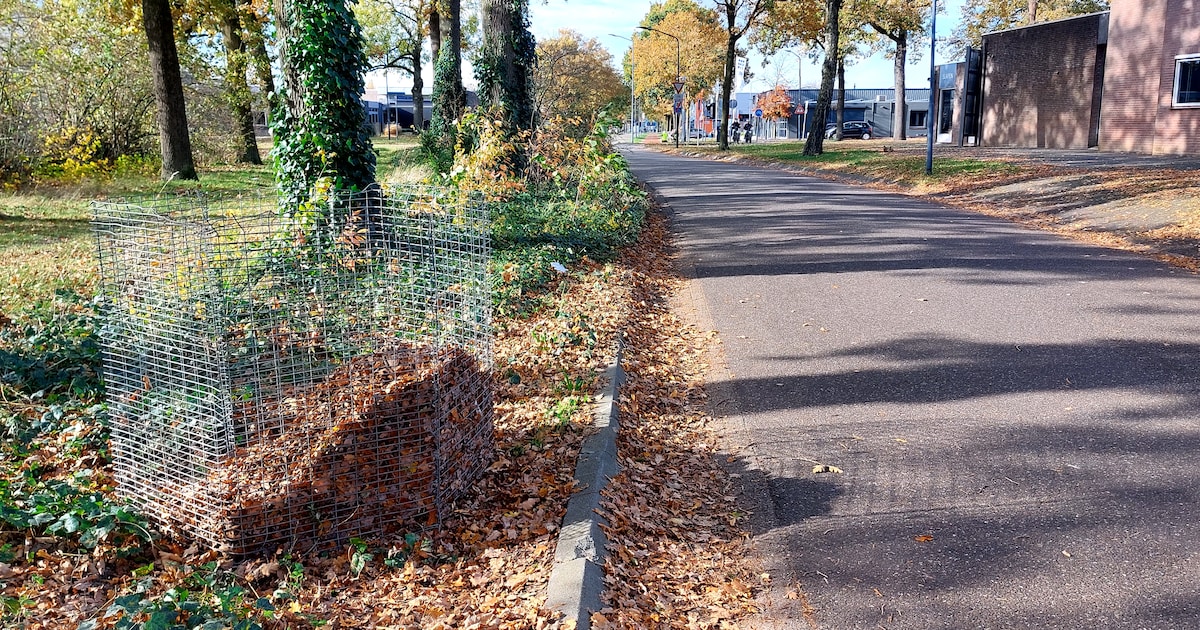 Helmonders moeten voortaan zelf de bladeren opvegen