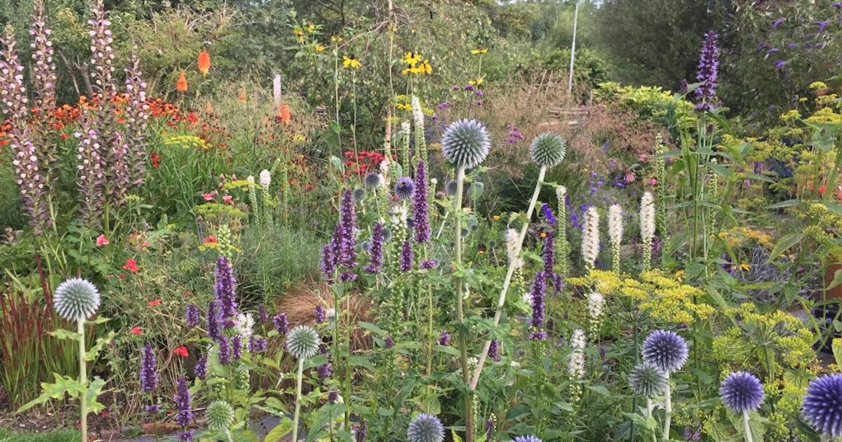 Dick is dol op het werk van Piet Oudolf: ‘Het is geweldig, zo moest mijn tuin ook worden’