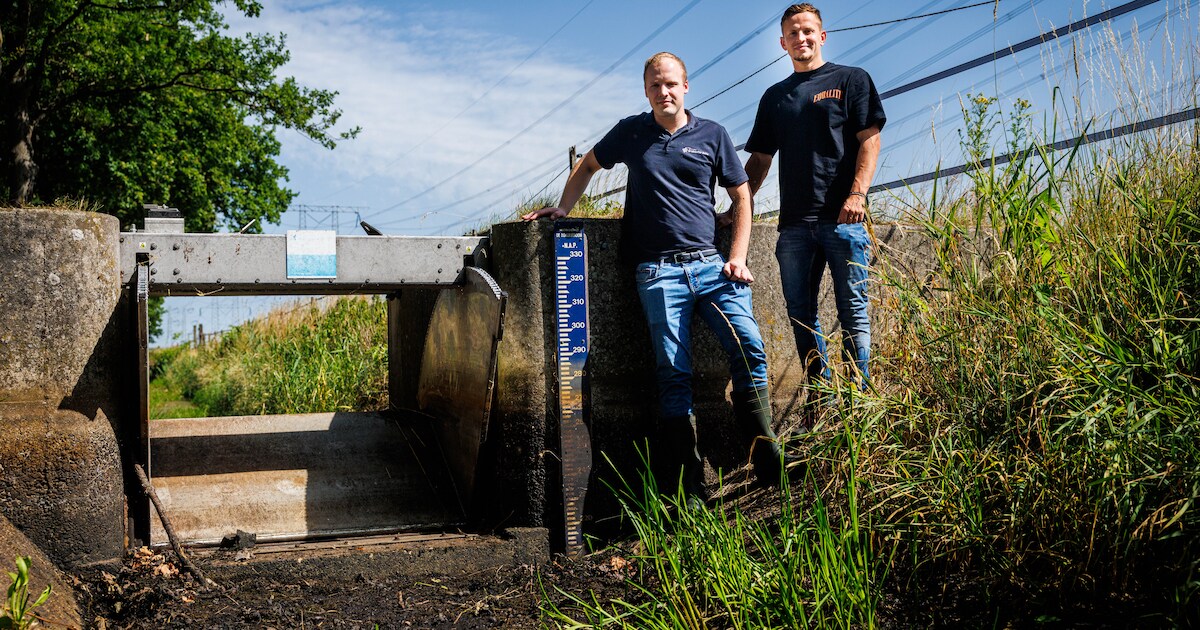 Opnieuw waarschuwing voor droogte: ‘Waterpeil is minder dan vorig jaar ...