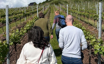 Lekker weg in eigen land: bezoek binnenkort een wijngaard in de buurt van Helmond