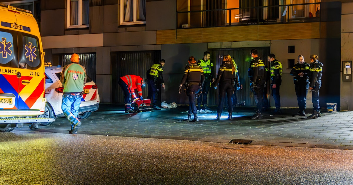 Man (38) uit Geldrop overleden na aanhouding: agenten niet vervolgd