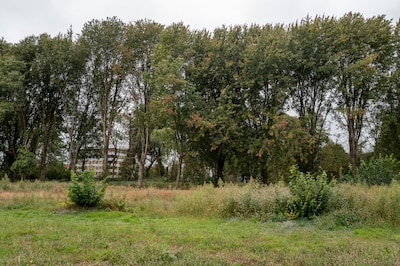 Gemeente Tilburg opent vernieuwd Stadspark Oude Dijk met feest