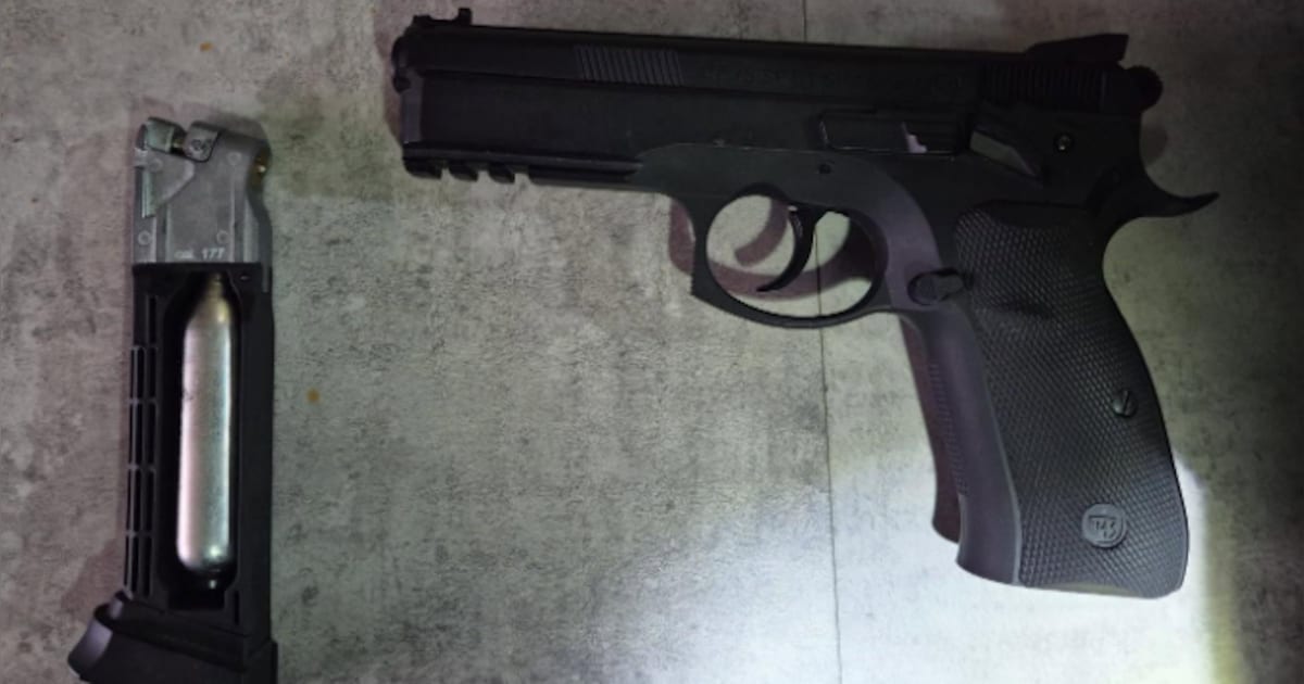 Luchtbuks aangetroffen in woning in Gestel