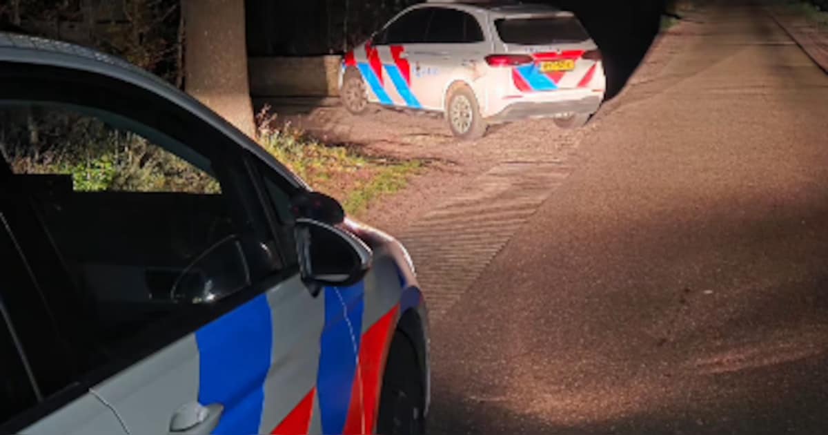 Inbrekers met bivakmutsen betrapt in Gemert: grote zoektocht met speurhonden, agenten vinden achterg