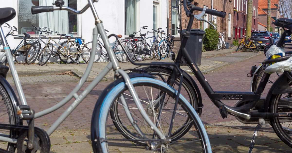 Wijkregisseur nieuw wapen in strijd tegen woonoverlast in Eindhoven