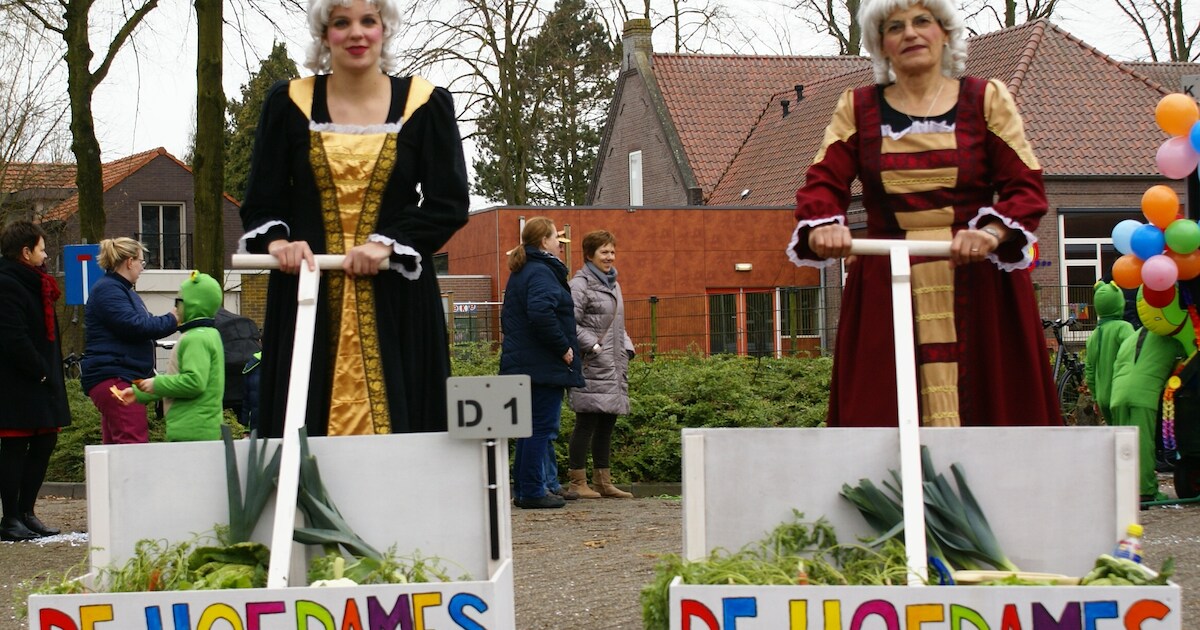 Uitslag optocht Hooge Mierde 2017