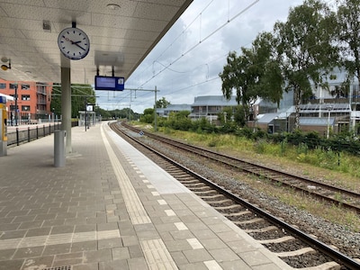 Geen treinen, maar bussen: dit weekend werkzaamheden aan het spoor tussen Helmond en Limburg