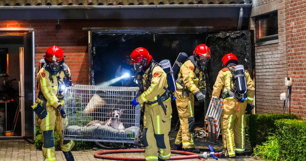 Felle brand zorgt voor forse schade aan garage en woning in Geldrop, hond uit de tuin gered