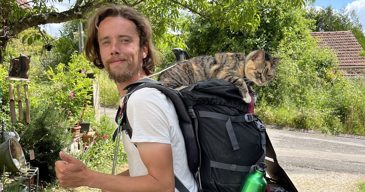 Willy (35) en zijn kat Jamy zijn al dik over helft van hun tocht van ...