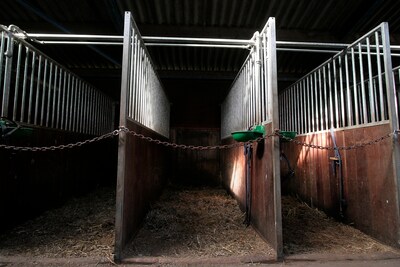 Begeleider (60) zorgboerderij veroordeeld voor ontucht met cliënte: ‘Het was aan hem om grenzen te b