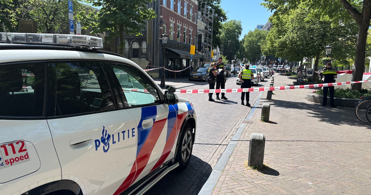 Verdachte van steekpartij op klaarlichte dag op plein in Utrechtse binnenstad aangehouden in Venlo