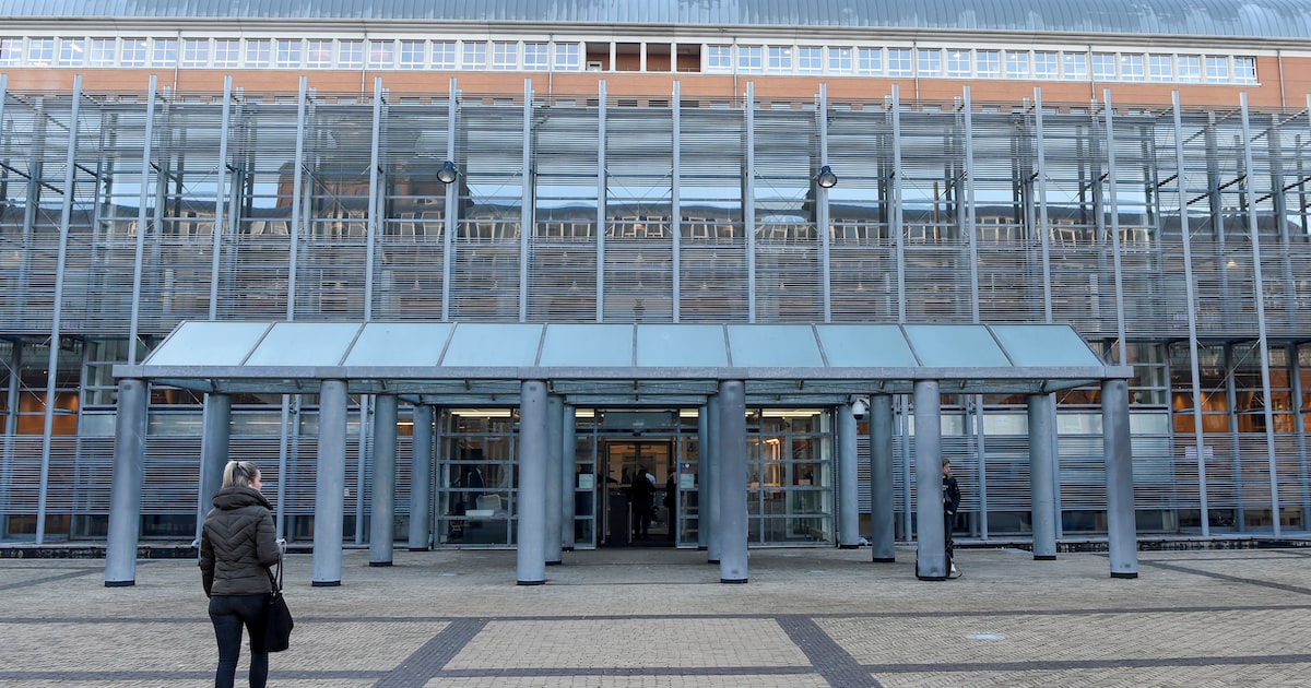 Chauffeur (20) met zeven keer te veel drank op ‘begint te vliegen’ bij Handel