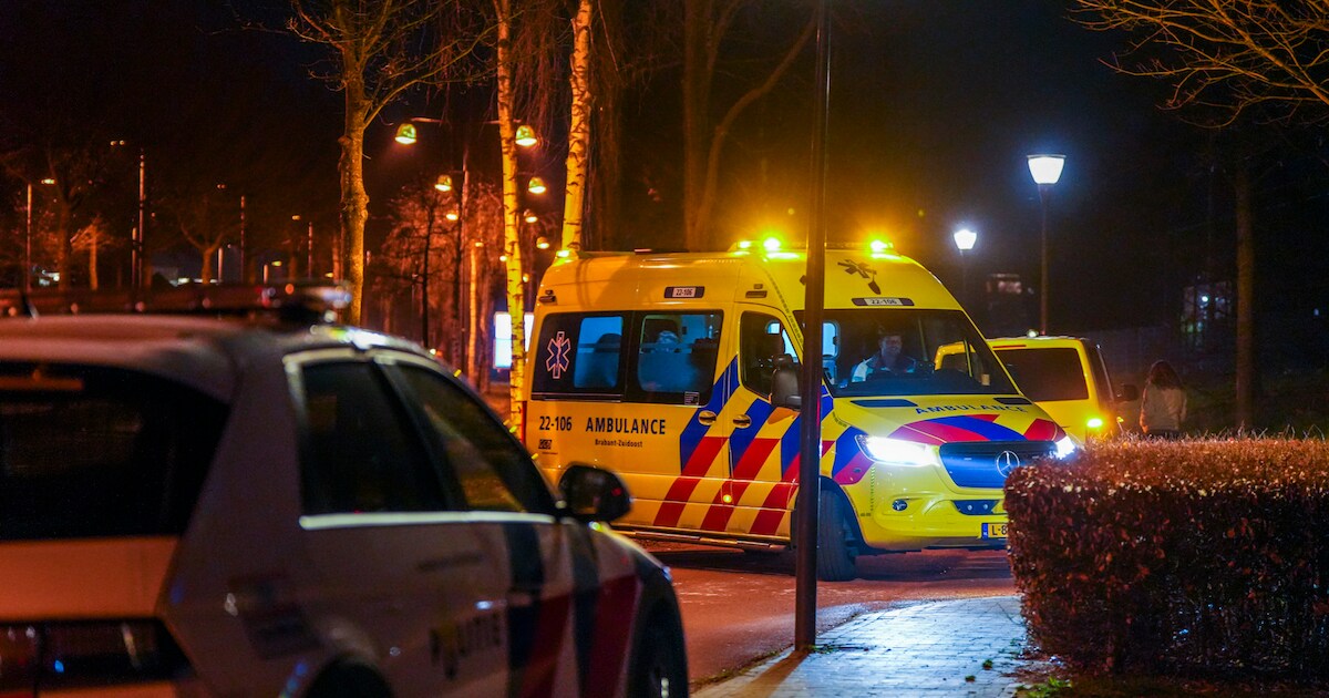 www.ed.nl