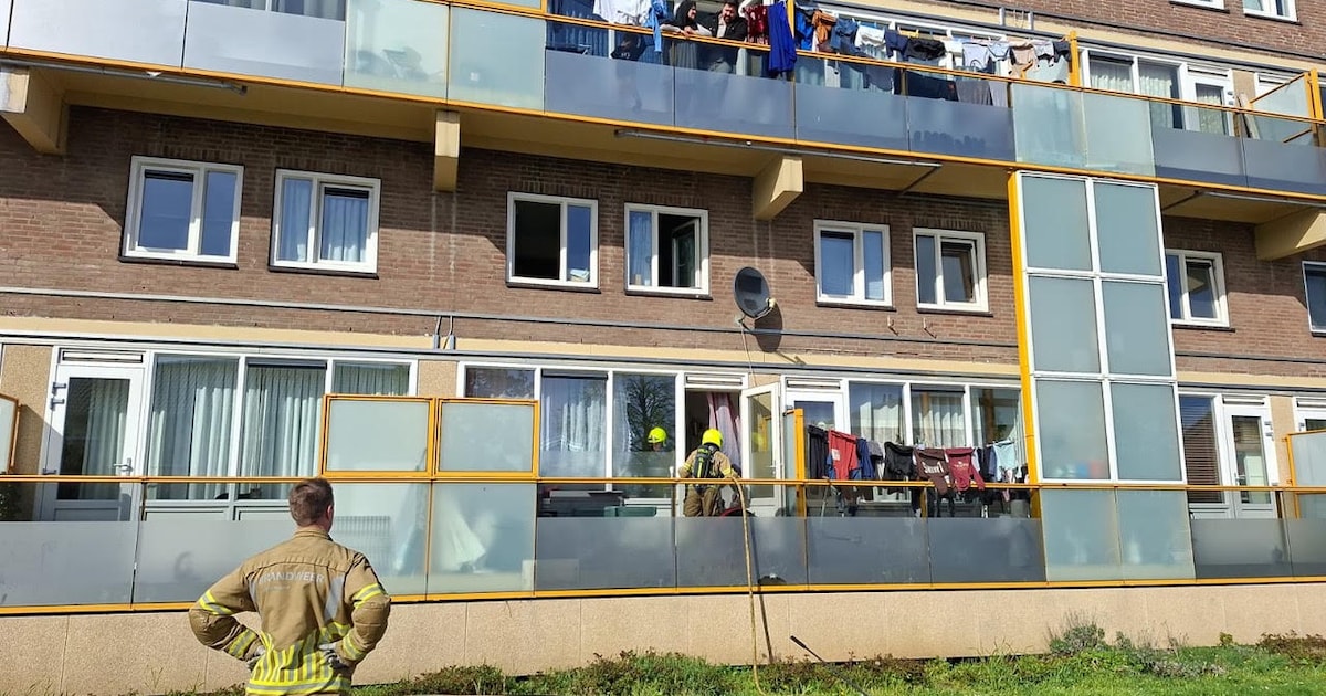 Hond gered bij woningbrand in Venlo