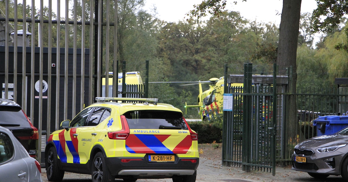 Kind per traumahelikopter naar ziekenhuis na ongeval in zwembad in Weert