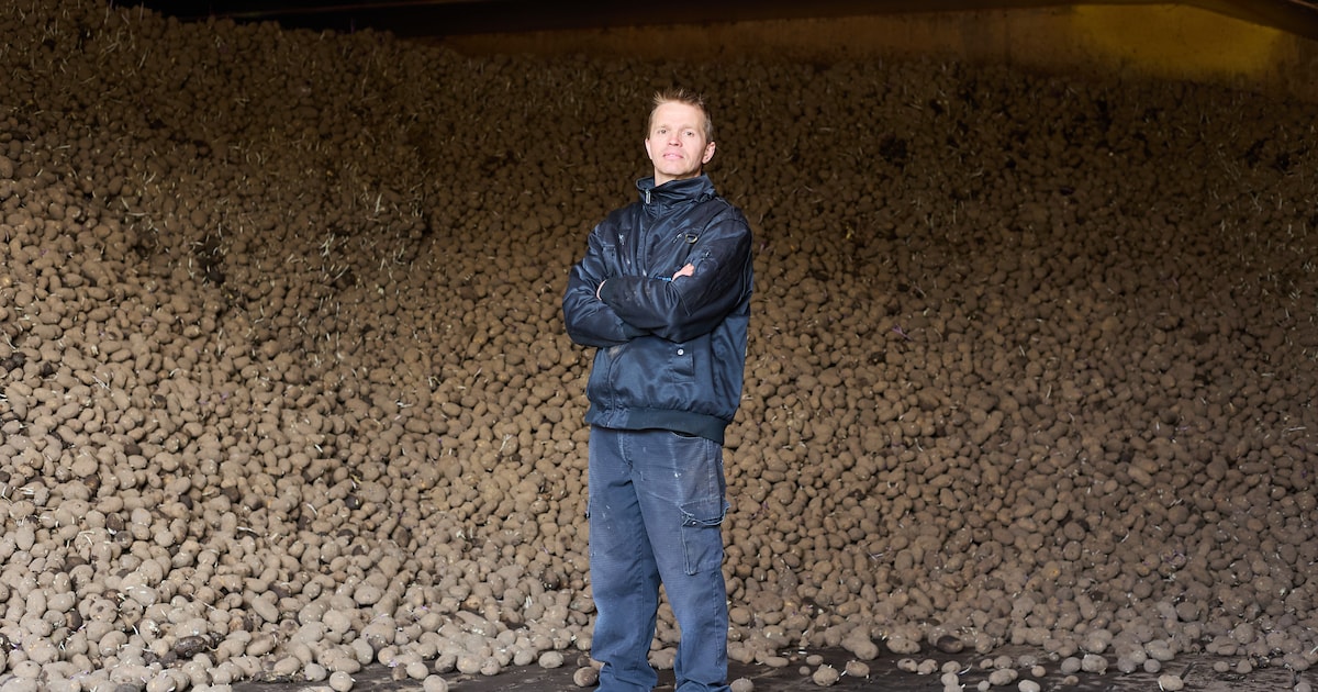 Boer Johan heeft tonnen aardappelen over: ‘Zelfs gratis willen sommigen ze niet hebben’