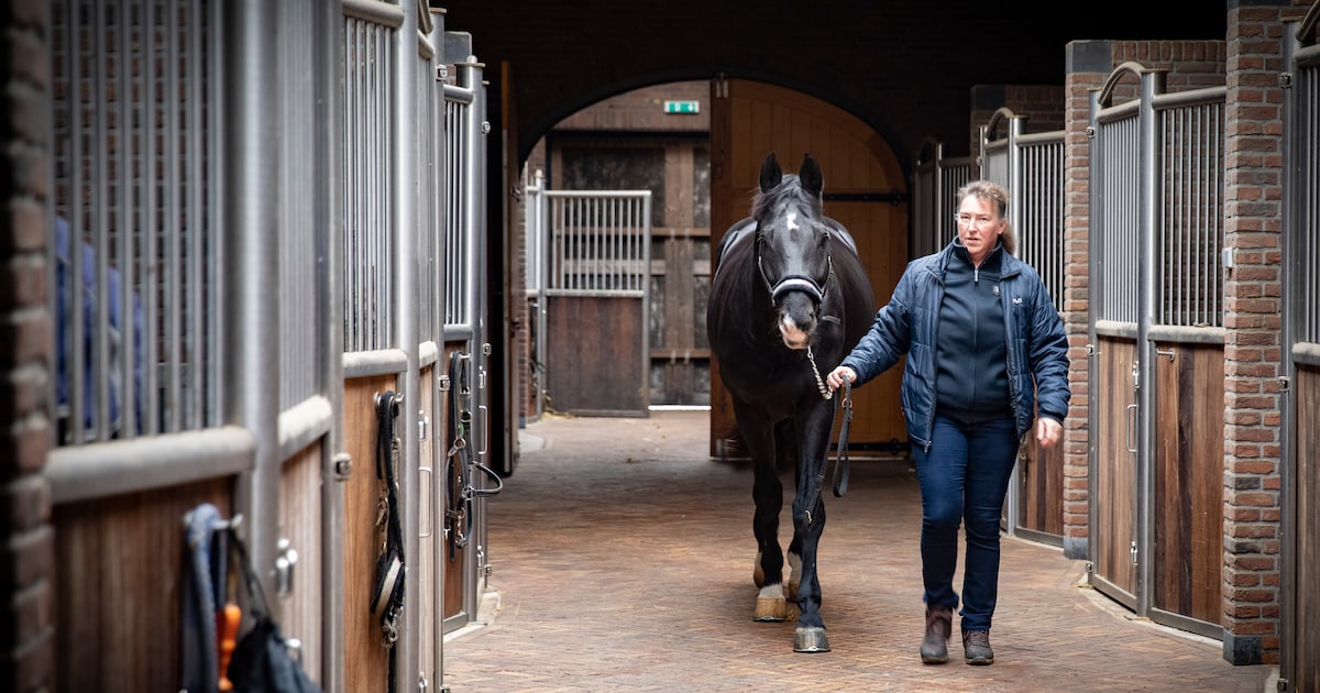Gemeente mogelijk paar meter fout met spuitzone bij paardensportcentrum Kienehoef in Sint-Oedenrode