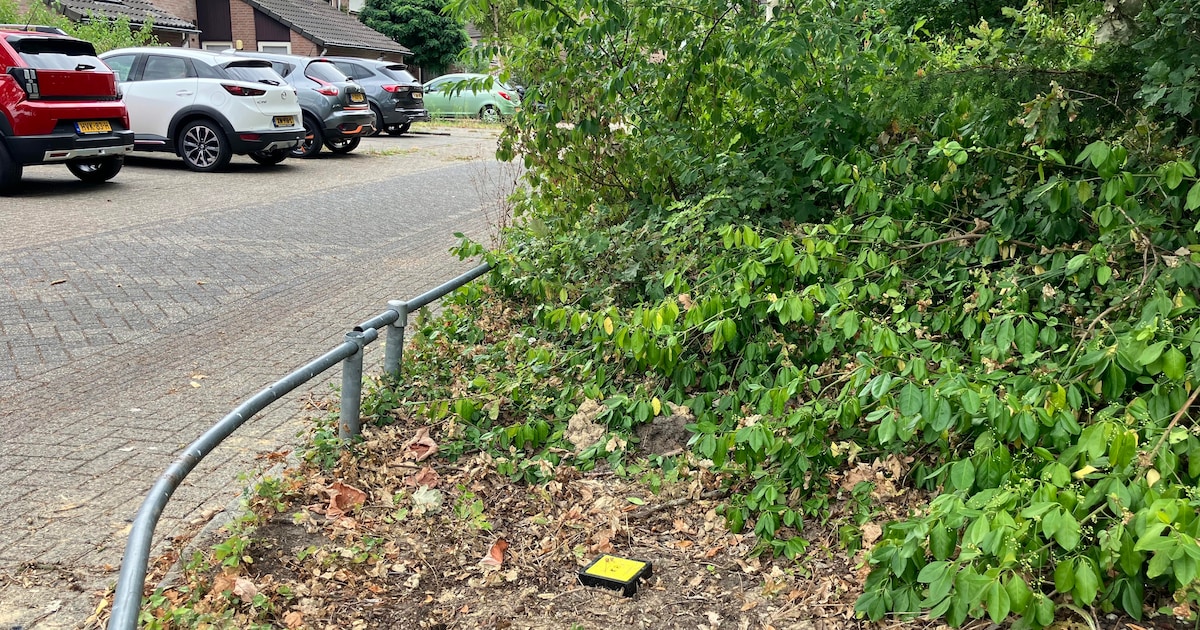 Geldropse wijk slaat alarm over vernatting natuurgebied en vreest vocht in huis