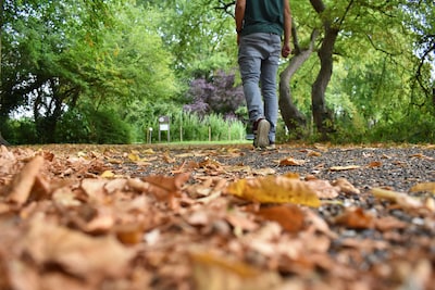 Leuke dingen doen tijdens de herfstvakantie? Dit is de weersverwachting in Den Bosch