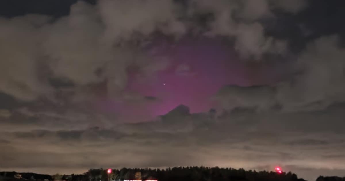 Noorderlicht ook in ons land te zien: lezer spot natuurfenomeen in Lommel
