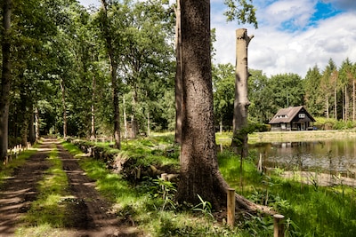 Nachtwandeling door landgoed De Wielewaal: 15 plekken voor excursie over nachtdieren