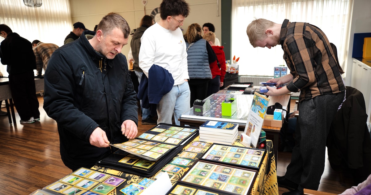 Hype rond Pokémonkaarten nog altijd springlevend: ‘Alleen al vandaag zijn er drie evenementen in Ned
