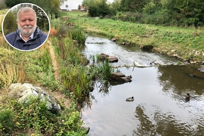 Oude kademuur komt tevoorschijn bij werkzaamheden aan Kleine Dommel; nog tientallen hectares nodig voor nieuwe natuur
