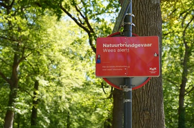 Staatsbosbeheer slaat alarm over rookregels in Brabant: ‘Je kunt niet bij elke boom een boa zetten’