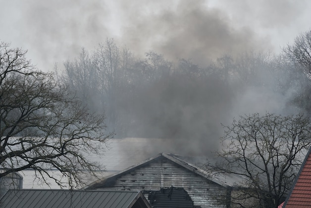 Brand breekt uit in stal bij boerenbedrijf in Moergestel, alle koeien ...
