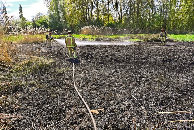 150 meter riet vat vlam bij woonwijk in Valkenswaard, brandweer heeft ...