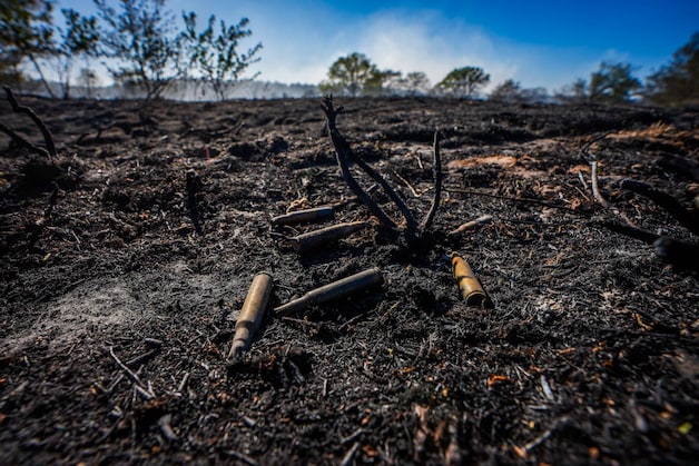 Veel wind, weinig water: dan hebben zelfs 120 brandweerlieden hun ...
