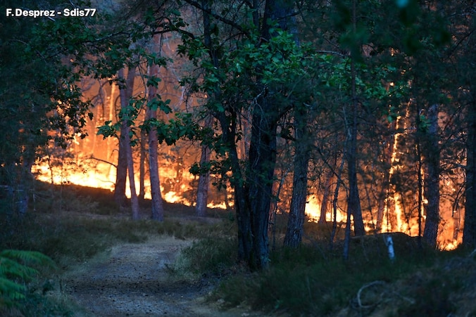 The Rising Threat of Forest Fires in Western Europe