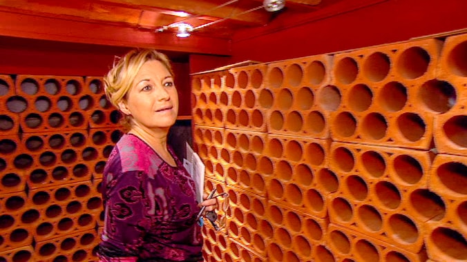 Belgische Carmen Pfaff in ziekenhuis op Mallorca na hersenbloeding ...