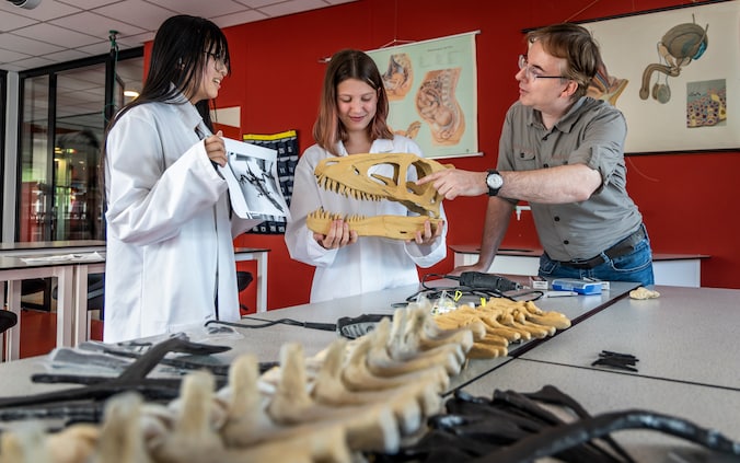 Macropedius-leerlingen bouwen hun eigen T-rex: leerzaam én leuk | Regio ...