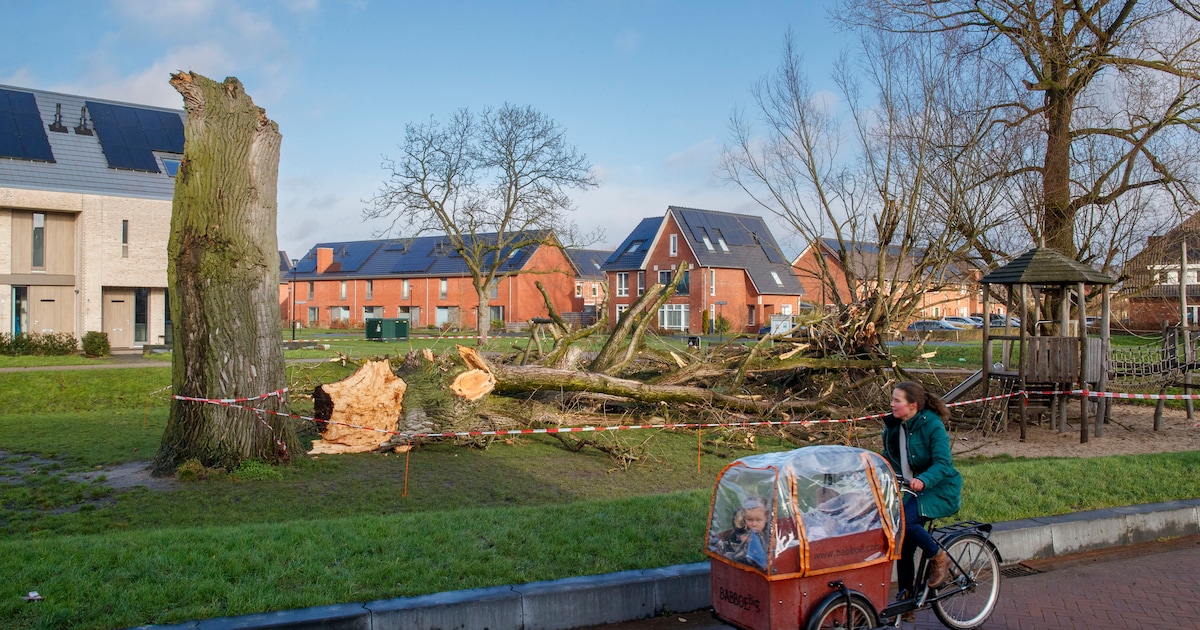 Schade door extreem weer in Reusel-De Mierden naar hoogste niveau sinds zeker 2006