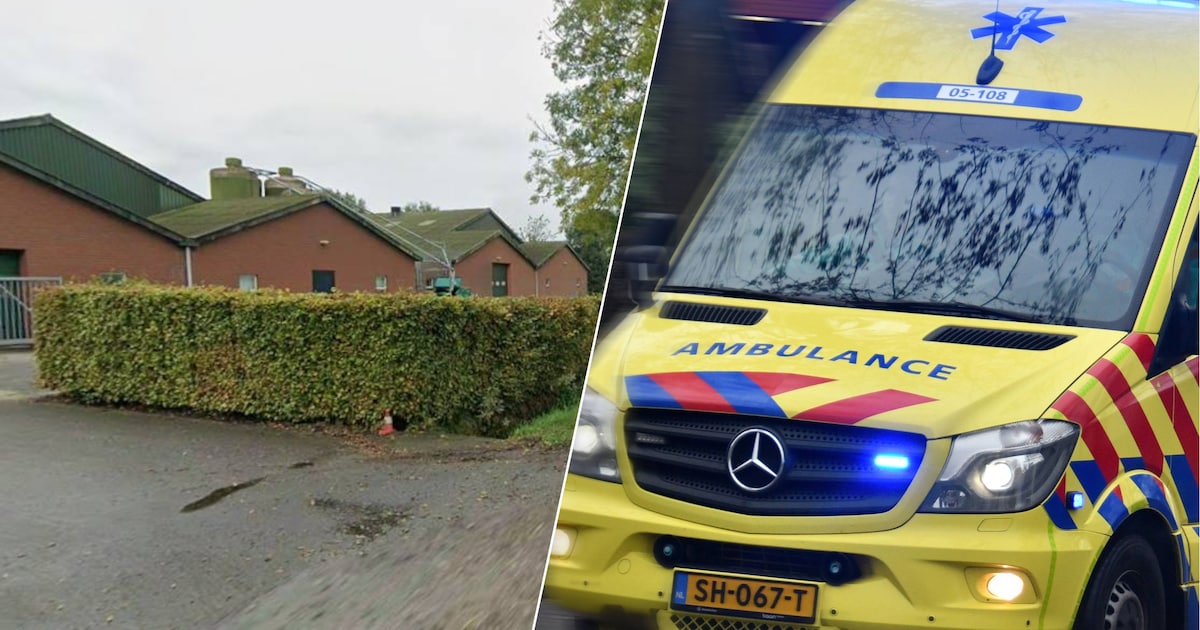 Jongen (15) komt om het leven bij ongeluk tijdens sloopwerk bij stal in Nederweert