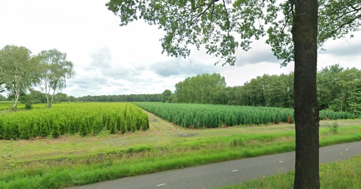 Buurtbewoners bezorgd over bouw van 27 woningen in Knegsel: ‘Wordt er nooit gebouwd op de akkers?’