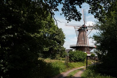 Bomen in Nieuwkuijk moeten wijken voor de molen: dat zien omwonenden niet zitten