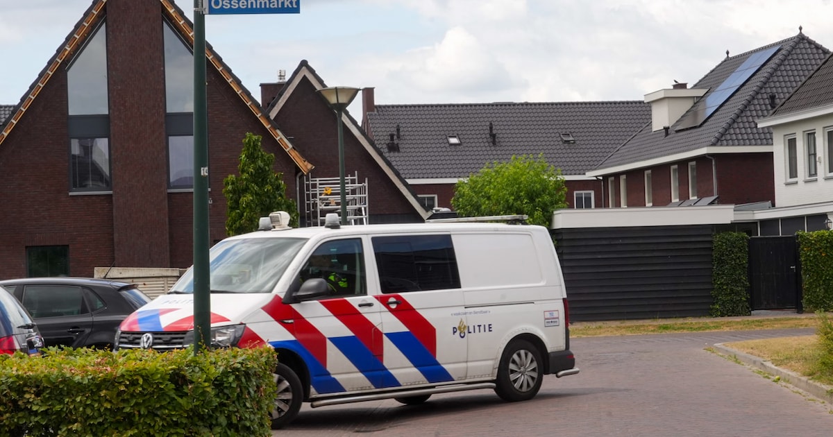 Politie onderzoekt melding van woningoverval in Bakel